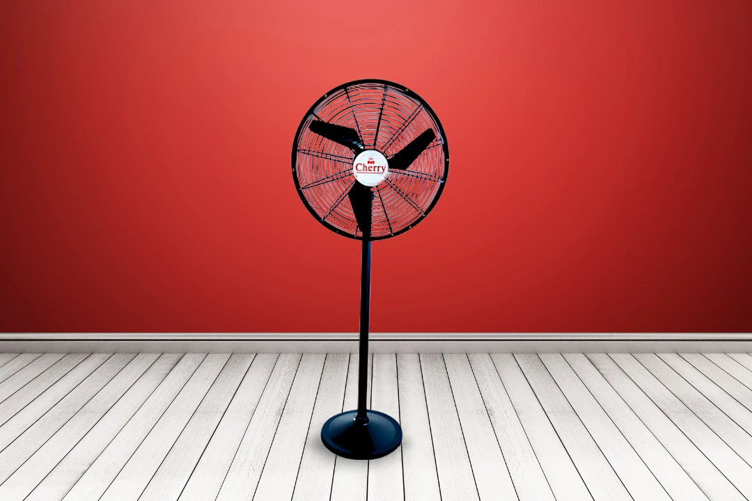 Pedestal Fan CH 109A