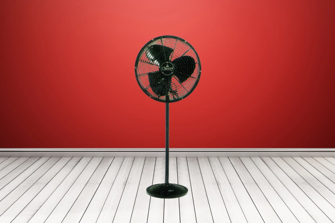 Pedestal Fan CH 109D