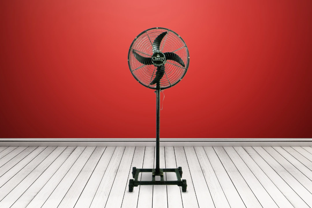 Pedestal Fan CH 109E