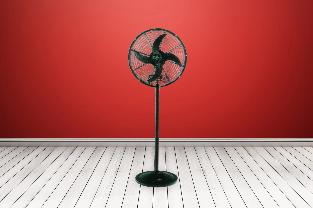 Pedestal Fan CH 119