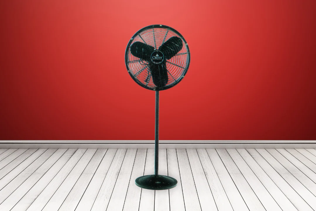 Pedestal Fan CH 119A