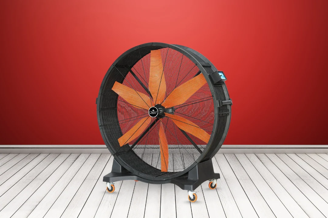 Big Fans